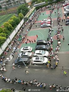 四川成都最新爆料,揭秘蓉城新动向与热门事件